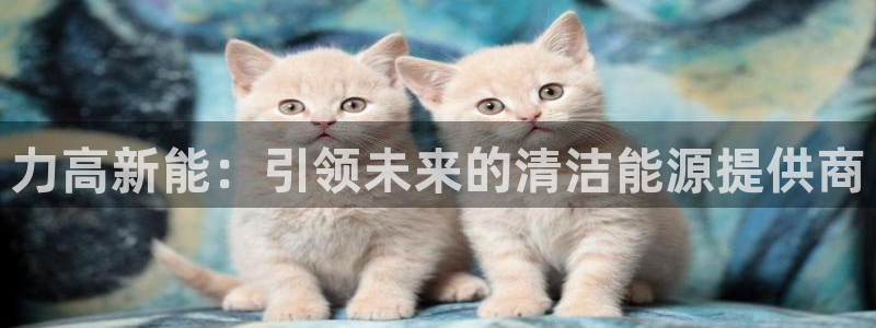 新宝GG登录网页：力高新能：引领未来的清