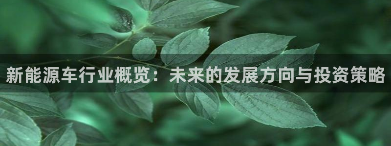 新宝gg走势：新能源车行业概览：未来的发
