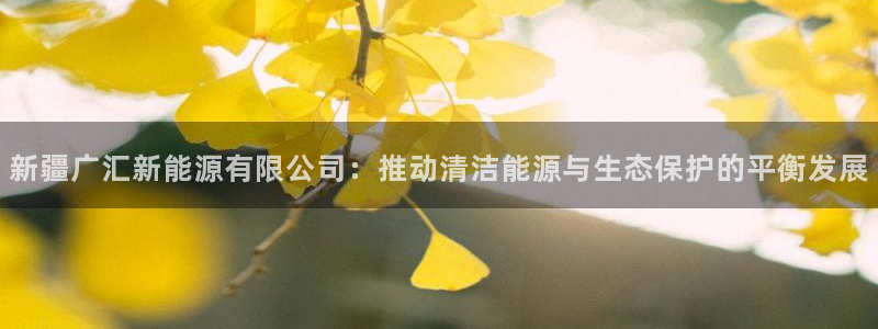 新宝gg网点：新疆广汇新能源有限公司：推