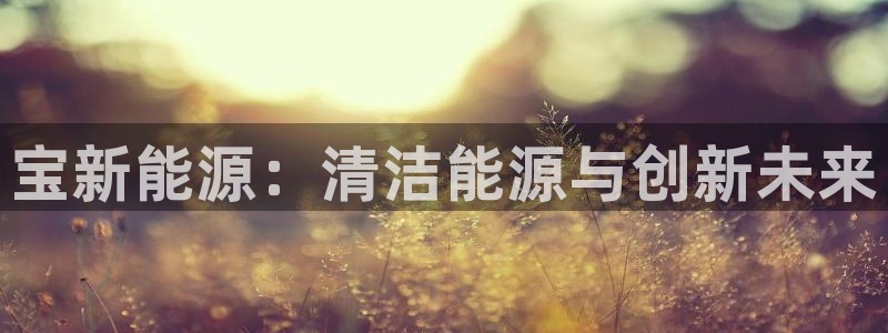 新宝GG勒55312：宝新能源：清洁能源